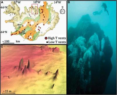 Microbial ecology of a shallow alkaline hydrothermal vent: Strýtan Hydrothermal Field, Eyjafördur, northern Iceland